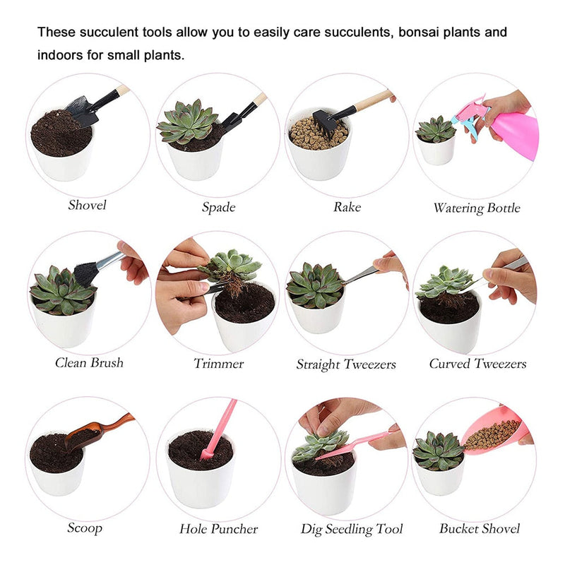 Kit de jardinagem para suculentas 12 peças