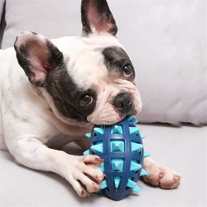 Cão mastigar brinquedos